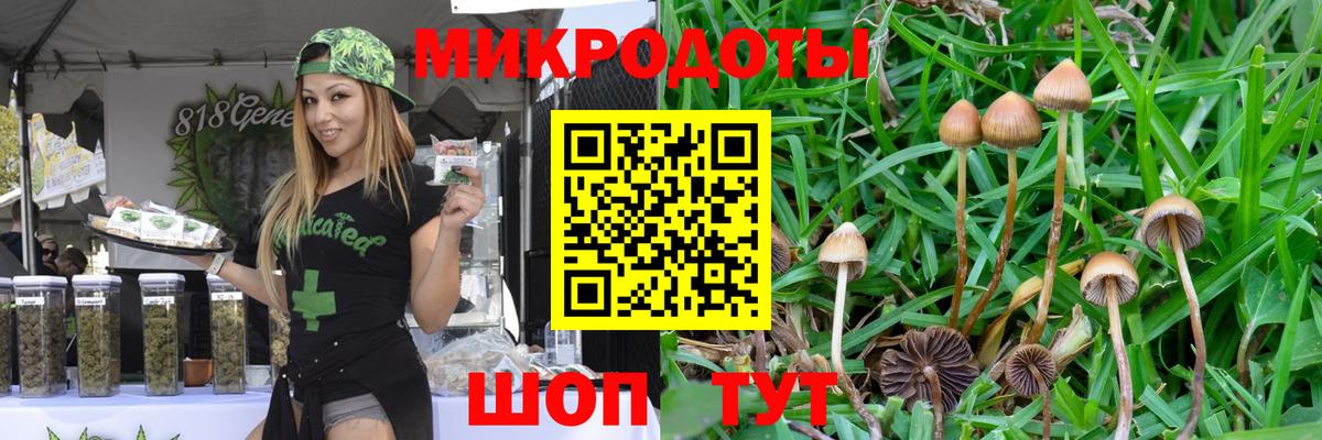 где купить наркоту  Псилоцибиновые грибы ЛСД  Амурск  Вход с VPN  Галлюциногенные грибы Magic Shrooms 